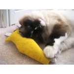 100% Organic YEOWWW Catnip Filled Fish