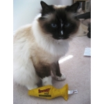 100% Organic YEOWWW Catnip Filled Fish