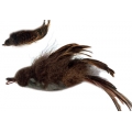 Purrs Buffalo Sparrow ClipOn - Fits PurrSuit, Frenzy & DaBird Rods