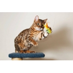 Purrs Fishie ClipOn- Fits PurrSuit, Frenzy & DaBird Rods