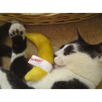 100% Organic YEOWWW Catnip Filled Banana