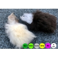 Purrs Sheepie Puff Cat Toy - Herb infused or Herbless