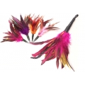 Purrs Rooster Fluffer ClipOn- Fits PurrSuit, Frenzy & DaBird Rods