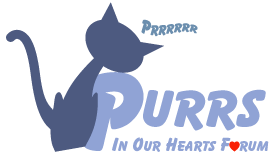 Purrs In Our Hearts