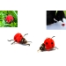 Purrs Little Ladybird -ClipOn- Fits PurrSuit, Frenzy & DaBird wands
