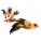 Purrs Goldfinch Bird ClipOn - Fits PurrSuit, Frenzy & DaBird rods