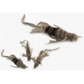 Purrs Lennie Lizard ClipOn prey - Fits PurrSuit, Frenzy & DaBird Rods