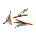 Purrs Feather Purrize Cat Toy - 3 Pack - Does not attach to wands