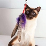 PurrSuit Interchangeable Cat Toy LONG wand with Spinning Feather prey - ClipOn